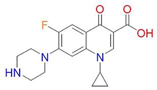 The resistance mechanisms of bacteria against ciprofloxacin and new approaches for enhancing the efficacy of this antibiotic